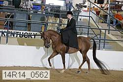 14r14_0562 proof