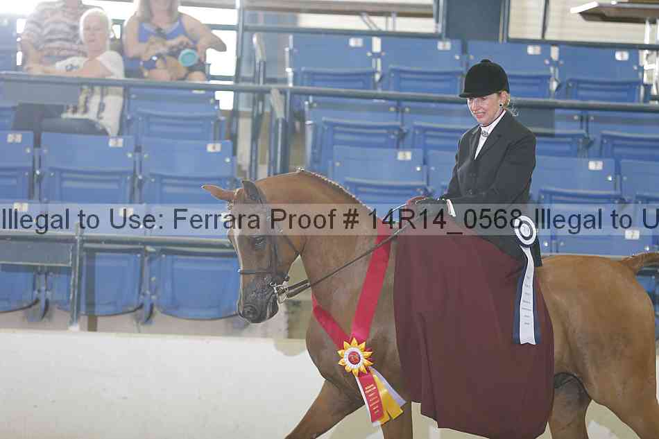 Proof 14r14_0568