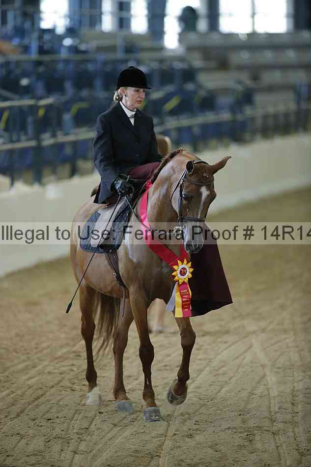 Proof 14r14_0569