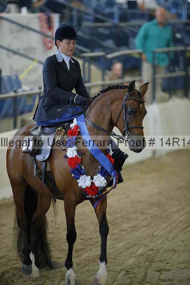 Proof 14r14_0571