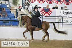 14r14_0575 proof