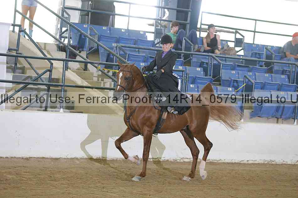 Proof 14r14_0579