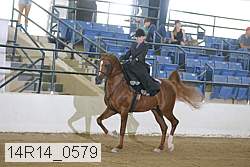 14r14_0579 proof