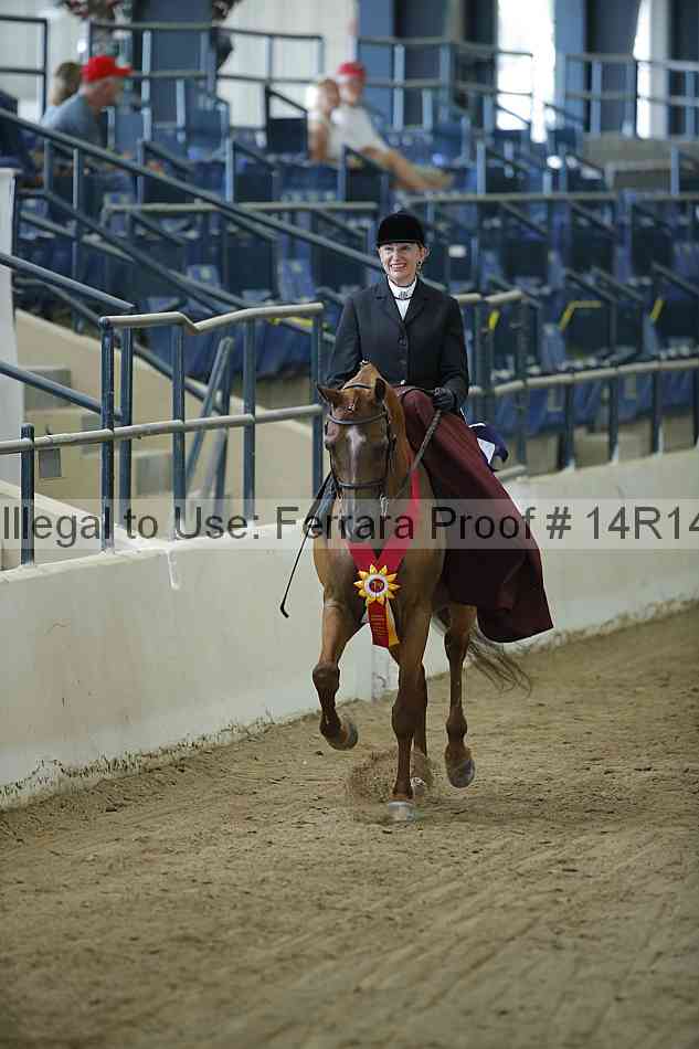 Proof 14r14_0585