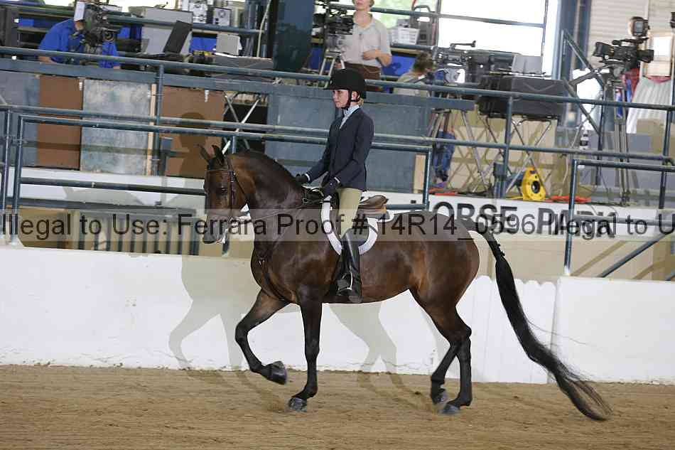 Proof 14r14_0596