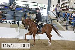 14r14_0601 proof