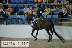 14r14_0613 proof