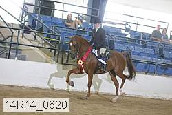 14r14_0620 proof