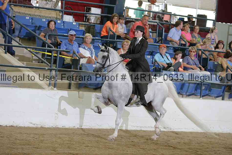 Proof 14r14_0633