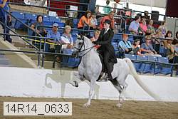 14r14_0633 proof