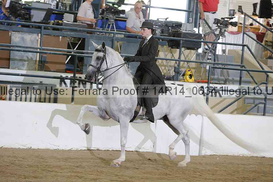 Proof 14r14_0634