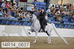 14r14_0637 proof