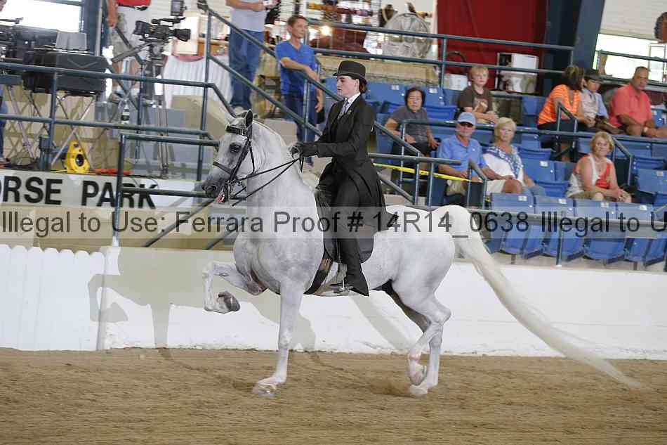 Proof 14r14_0638