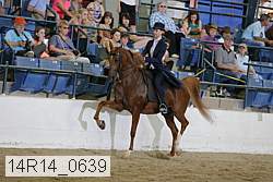 14r14_0639 proof