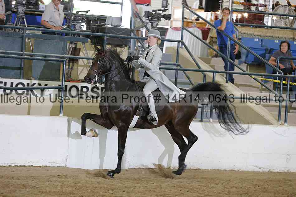 Proof 14r14_0643