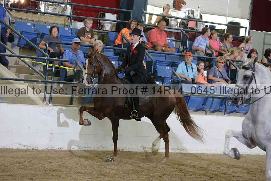 Proof 14r14_0645