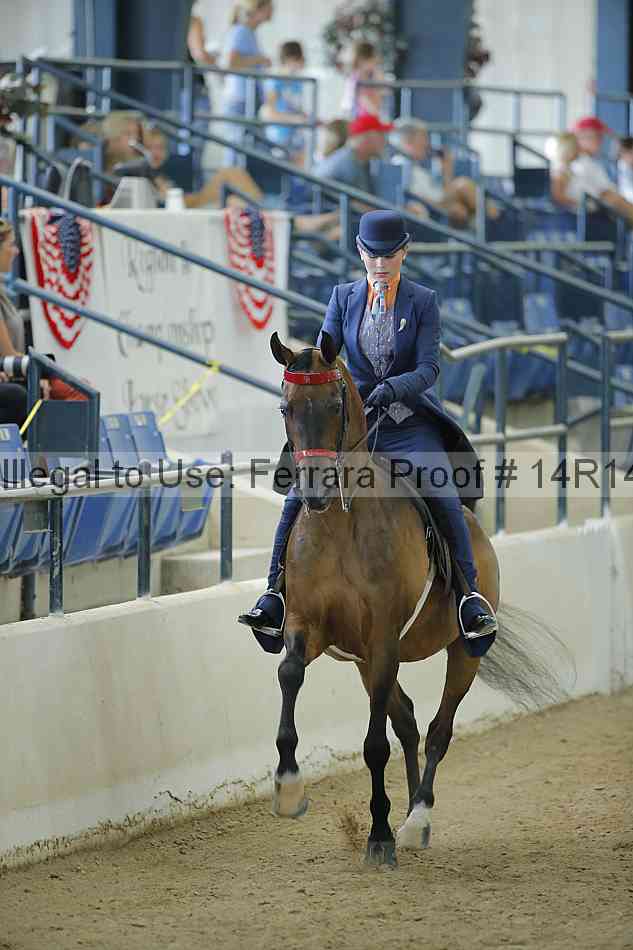 Proof 14r14_0650