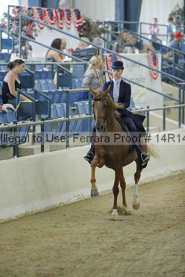 Proof 14r14_0653
