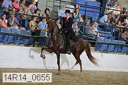 14r14_0655 proof