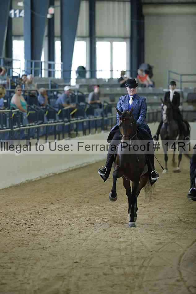 Proof 14r14_0656
