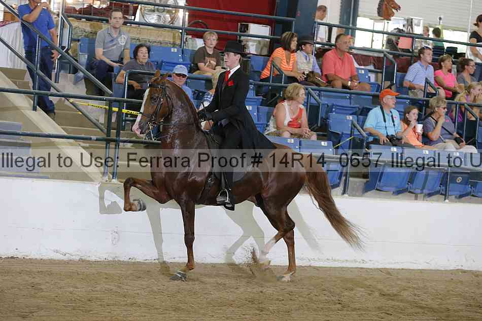 Proof 14r14_0657