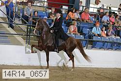 14r14_0657 proof