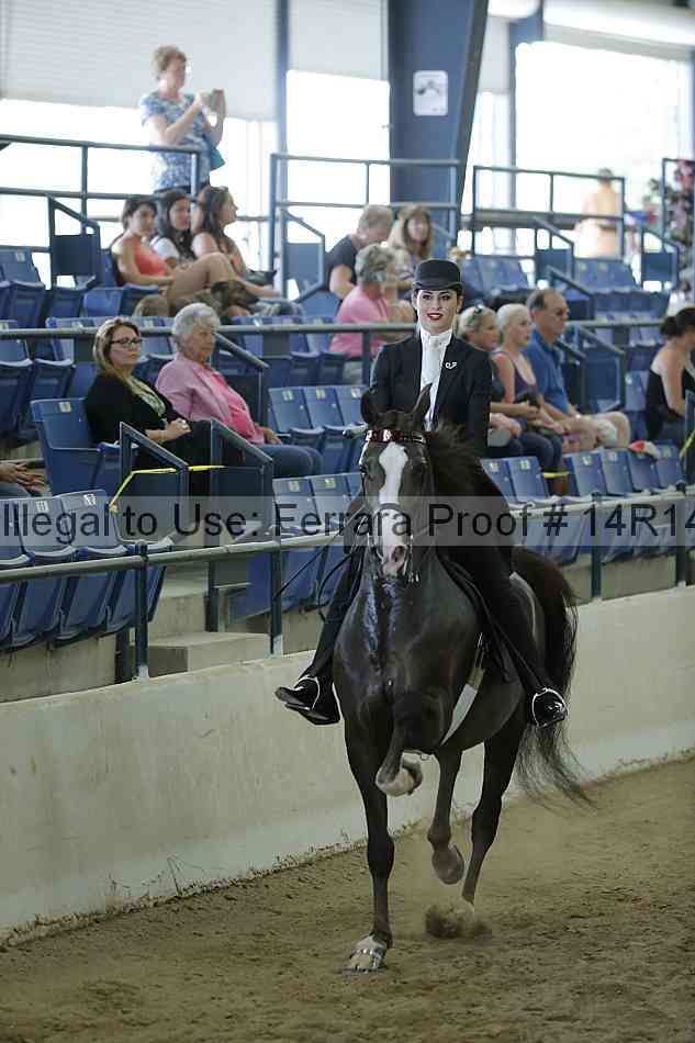 Proof 14r14_0660
