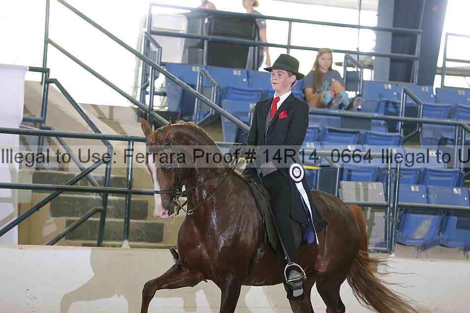 Proof 14r14_0664