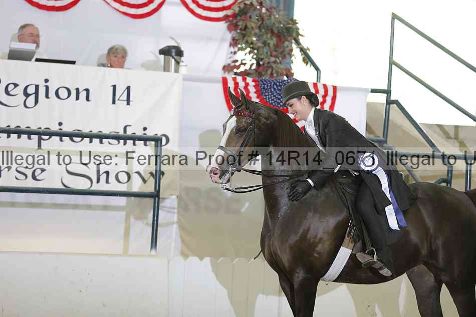 Proof 14r14_0671