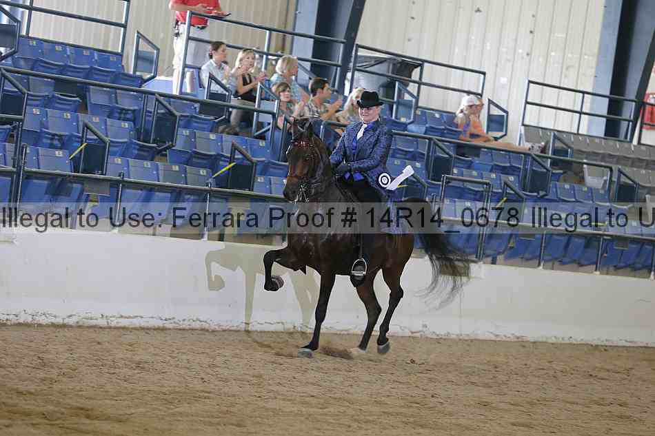 Proof 14r14_0678