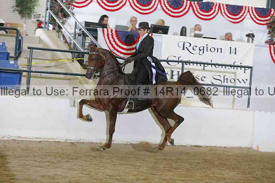 Proof 14r14_0682