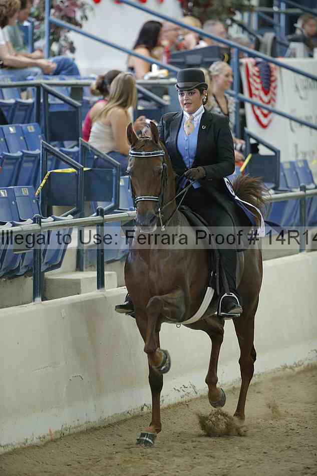 Proof 14r14_0685