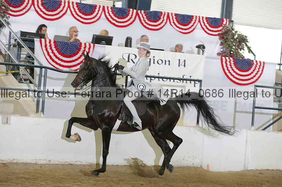 Proof 14r14_0686