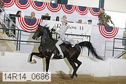 14r14_0686 proof