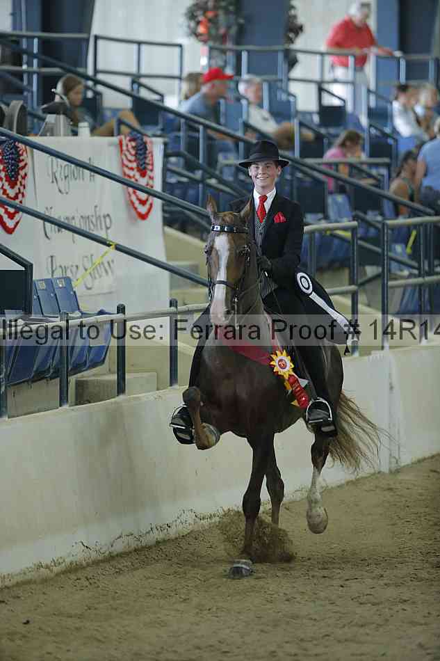 Proof 14r14_0690