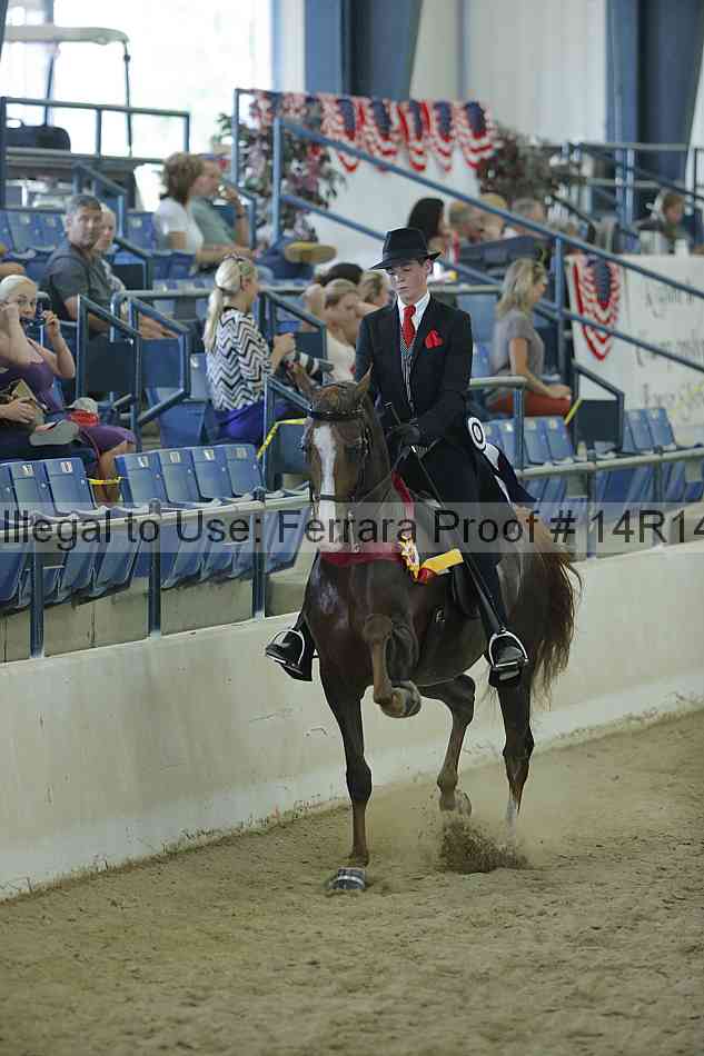 Proof 14r14_0691