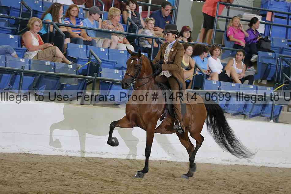 Proof 14r14_0699