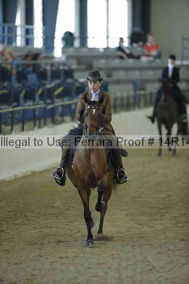 Proof 14r14_0701