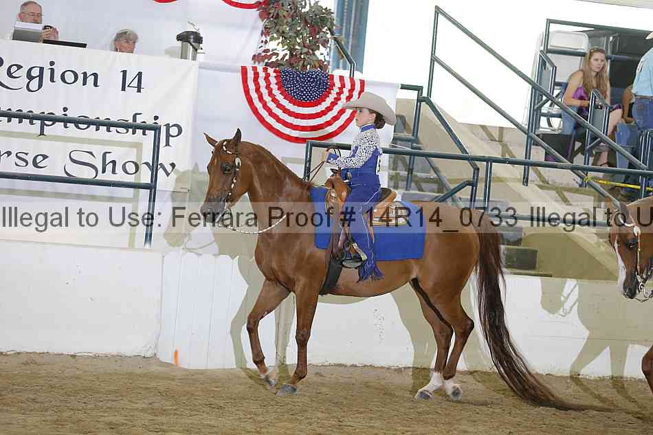 Proof 14r14_0733