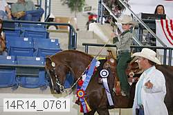 14r14_0761 proof