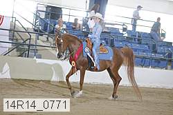 14r14_0771 proof