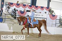 14r14_0773 proof