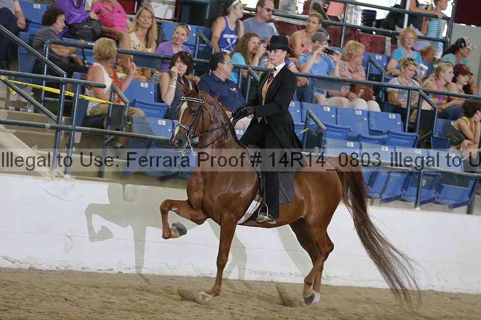 Proof 14r14_0803