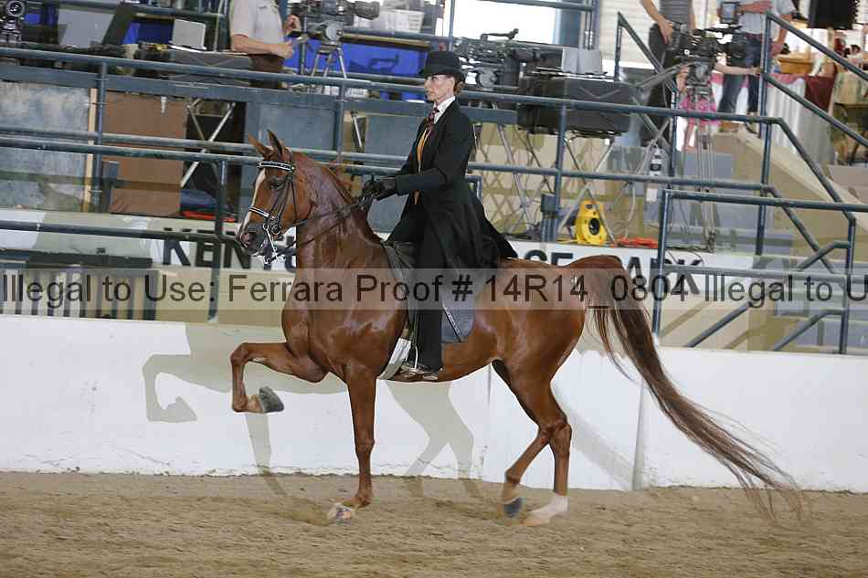 Proof 14r14_0804
