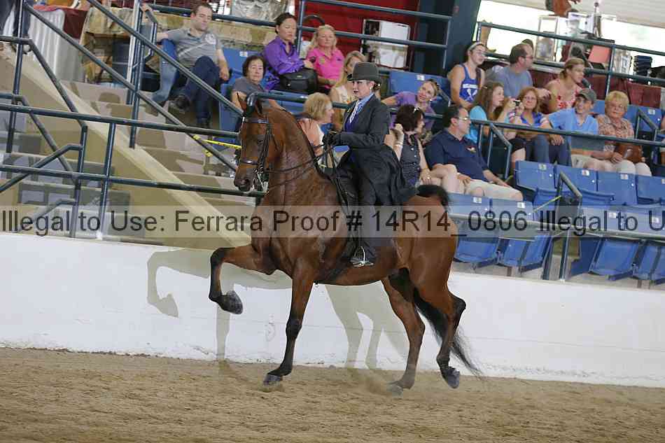 Proof 14r14_0806