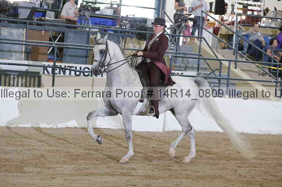 Proof 14r14_0809