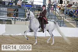14r14_0809 proof