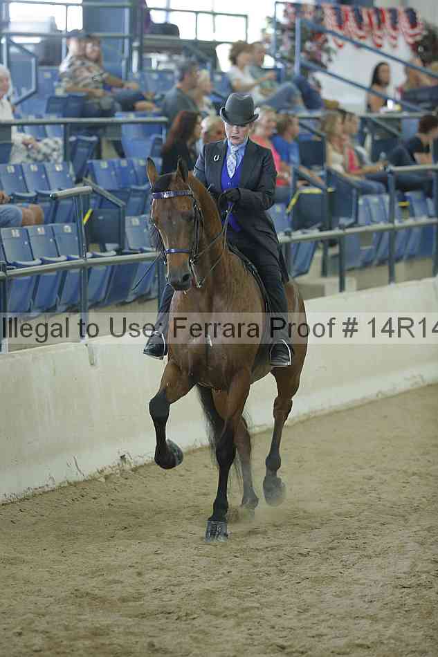 Proof 14r14_0819