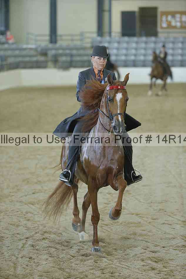 Proof 14r14_0824