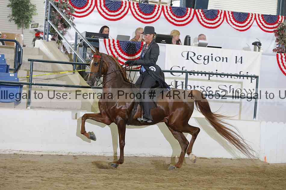 Proof 14r14_0852